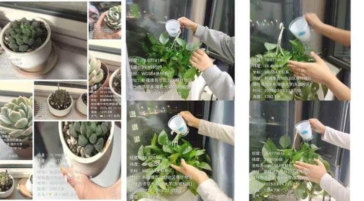 iwEeAqNqcGcDAQTRBQAF0QLQBrBBKeNuje3G6QfI7fsIrSAAB9IL3rXwCAAJomltCgAL0gACYBU.jpg_720x720q90