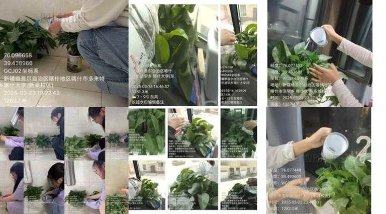 iwEcAqNqcGcDAQTRBQAF0QLQBrBt8loj3pYRJgfI7fxOqMAAB9IL3rXwCAAJomltCgAL0gACl00.jpg_720x720q90