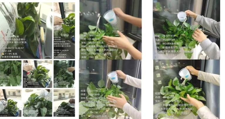 iwEcAqNqcGcDAQTRBQAF0QLQBrBz4Hs9kHLcegfI7fnY91QAB9IL3rXwCAAJomltCgAL0gACll4.jpg_720x720q90